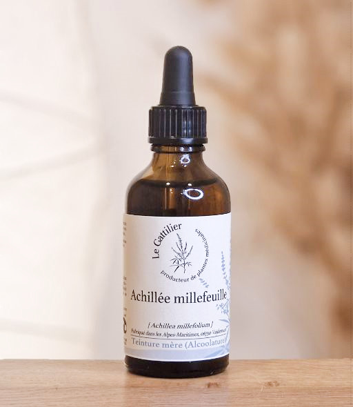 TM Achillee millefeuille 50ml LE GATTILIER