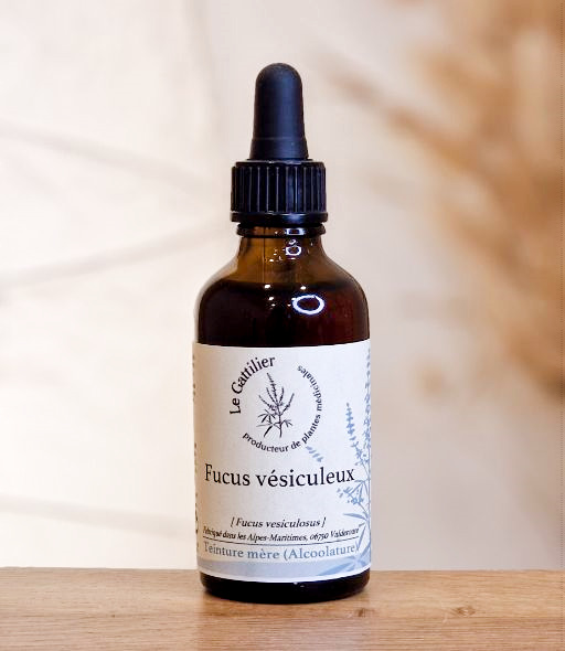 TM Fucus Vesiculus 50ml LE GATTILIER