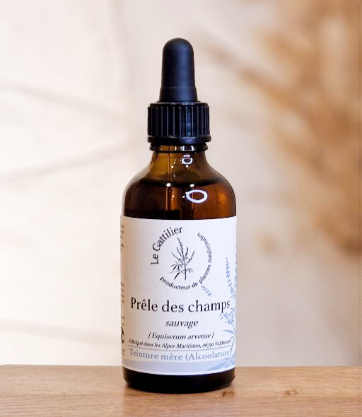 TM Prèle des champs sauv. 50ml LE GATTILIER