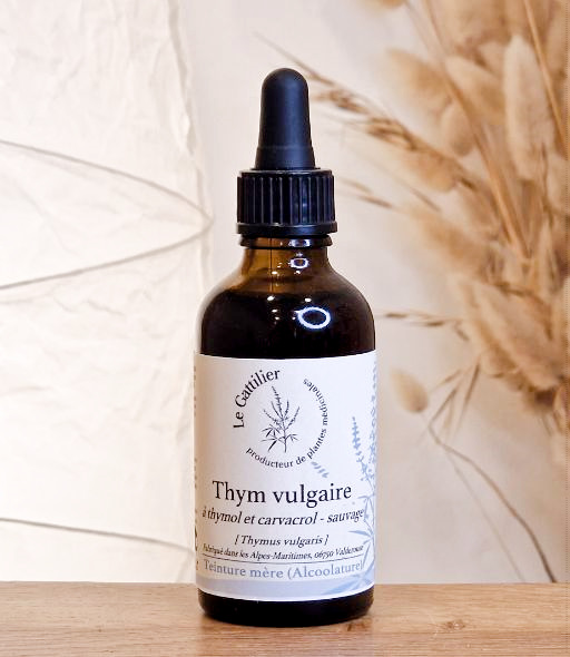 TM Thym vulg. à thymol et carvacol 50ml LE GATTILIER