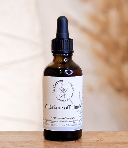 TM Valériane officinale 50ml LE GATTILIER