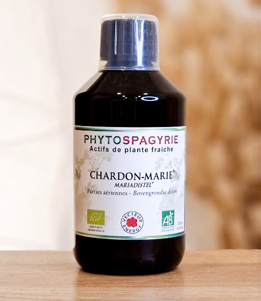 Chardon Marie (Phytospagyrie) VECTEUR ENERGY