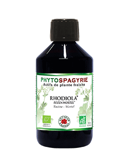 Rhodiola (Phytospagyrie) VECTEUR ENERGY