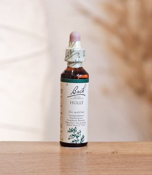 Fleurs de Bach N°15 Holly (Houx) 20ml BACH