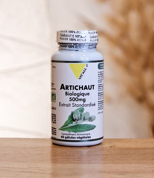 ARTICHAUT BIO*  500MG VIT'ALL PLUS